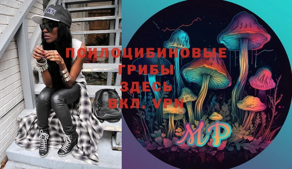 ПСИЛОЦИБИНОВЫЕ ГРИБЫ Балабаново