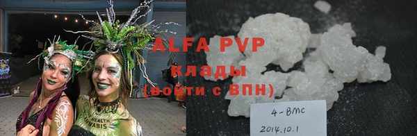 индика Баксан