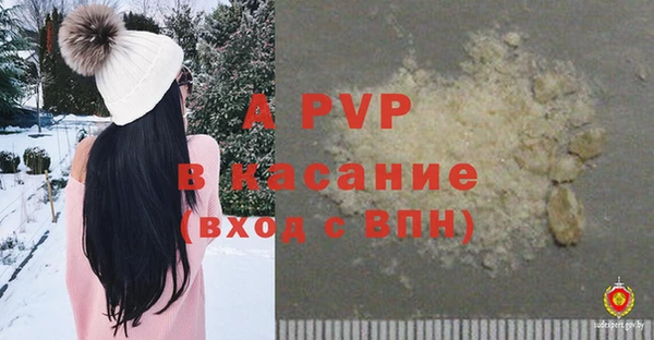 индика Баксан