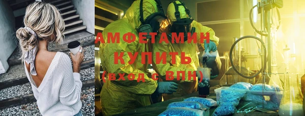 индика Баксан