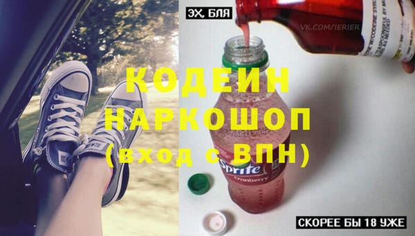 индика Баксан