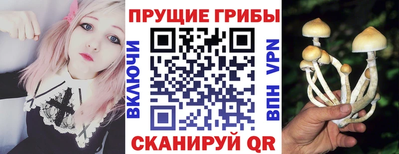 купить наркотик Нижняя Тура Псилоцибиновые грибы мухоморы